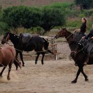 Velletri | Festa del Buttero Contemporaneo 14 - 15 settembre ai Pratoni del Vivaro