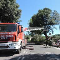 Ariccia | Caduta parte dell'antica quercia di Galloro su via Appia Nuova: strada chiusa, al lavoro Vigili del Fuoco e Polizia Locale