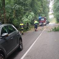Marino | Giornata di interventi per protezione civile e vigili del fuoco: albero cade su una macchina