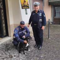 Rocca di Papa | Storia a lieto fine per un cane trovato in strada, l'intervento di un agente della Polizia Locale