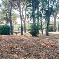 Marino | Ambrogiani (Pd): “Gestione parchi precaria. Comune spieghi su Parco Falcone”