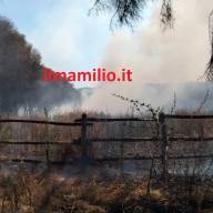 VIDEO/FOTO - Castelli Romani | Vasto  incendio a Falcognana. A fuoco anche il Tuscolo. Protezione Civile e Vigili del Fuoco in azione